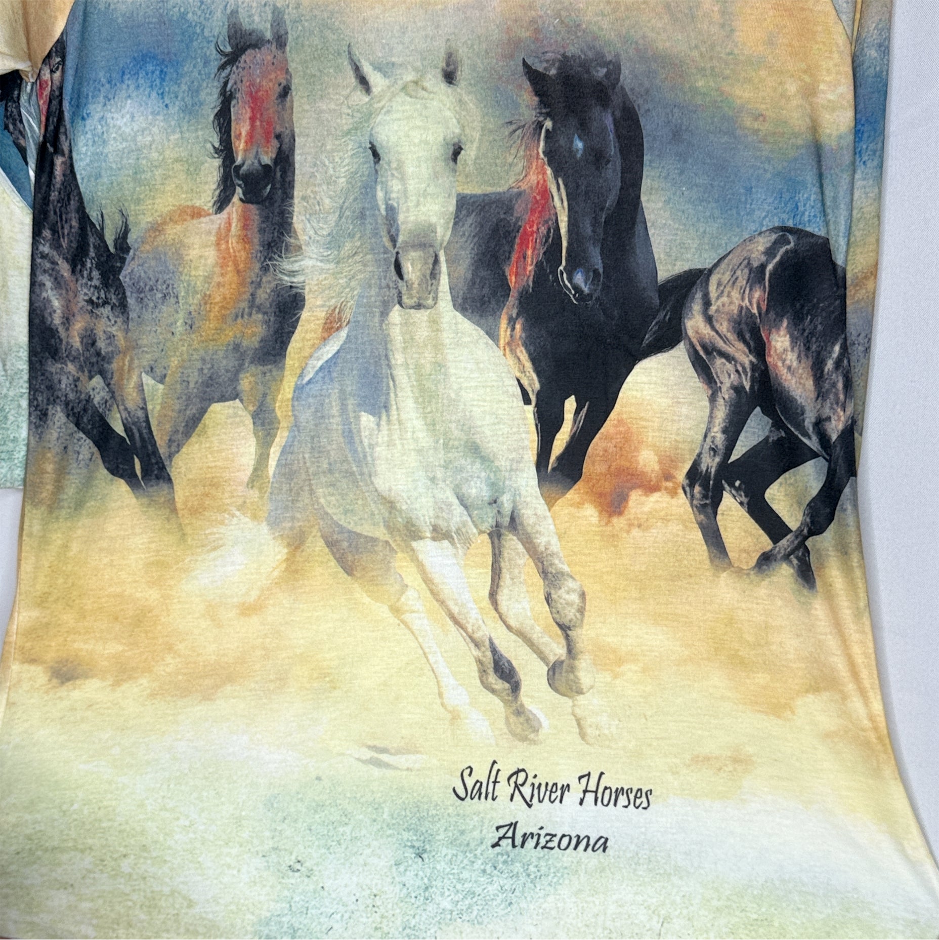 DNO-Salt River Horses - 3/4 slv